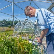 Solar domes in Bangor