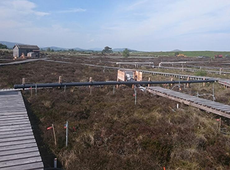 Whim Bog field site