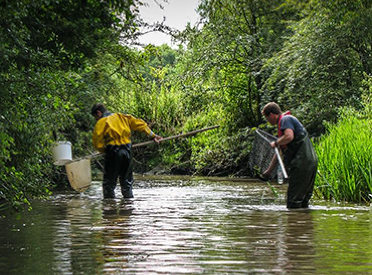 Sampling in a river