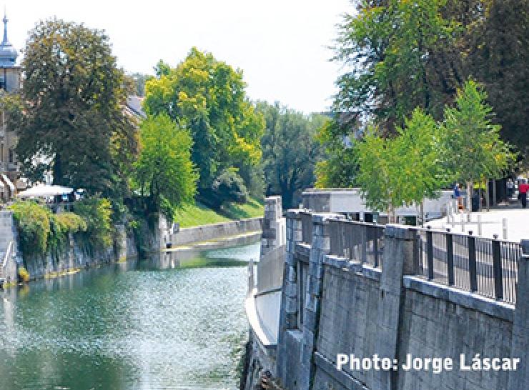 Sava river