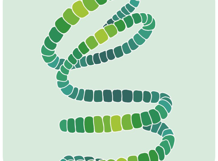 Bloomin Algae app logo