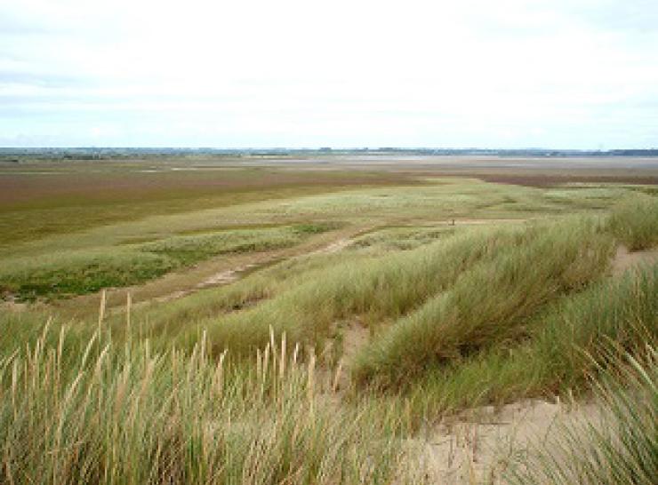 Saltmarsh transition from dune