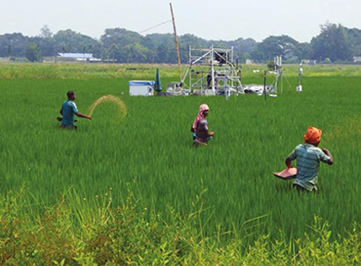 Spreading urea fertiliser on a field