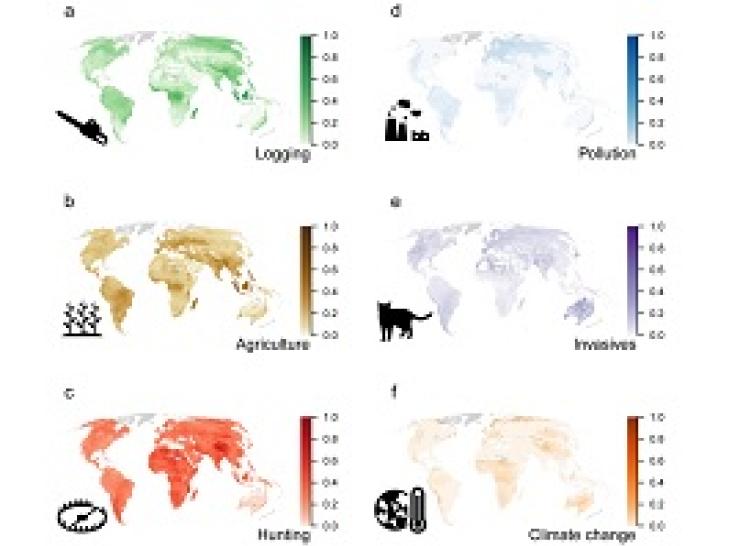 Threats to vertebrates globally