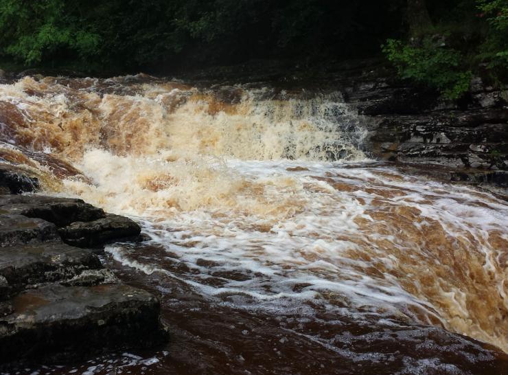 Turbulent river water showing brown staining from dissolved organic matter