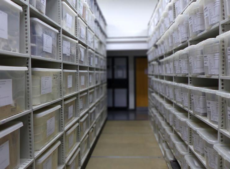 UKCEH Soil Bank boxed samples