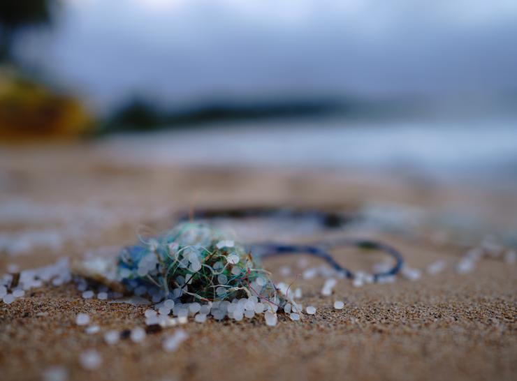 Microplastic particles on a beach