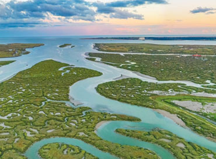 Saltmarsh restoration Tollesbury