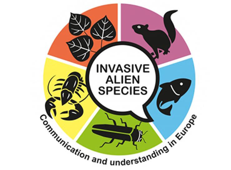 5 illustrations of species in a colourful circle and the words Invasive alien species