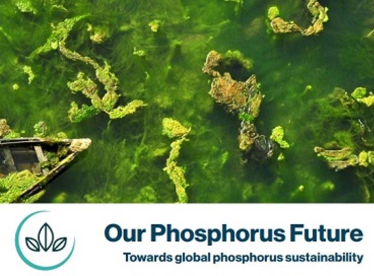 Our Phosphorus Future report