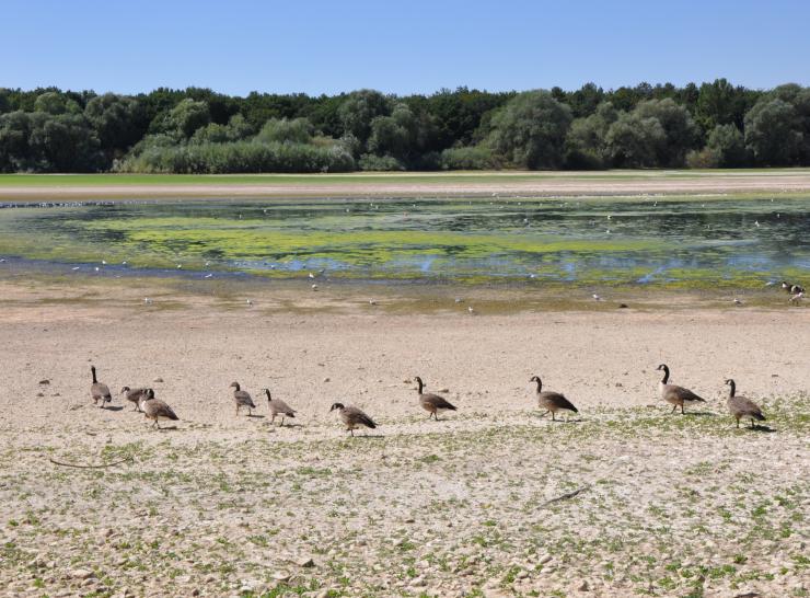 Low water levels Photo: Laurence Berger