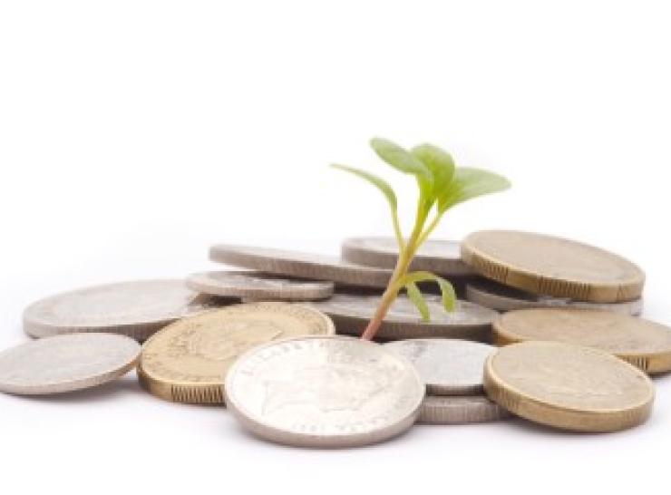 Green shoot emerging from pile of coins