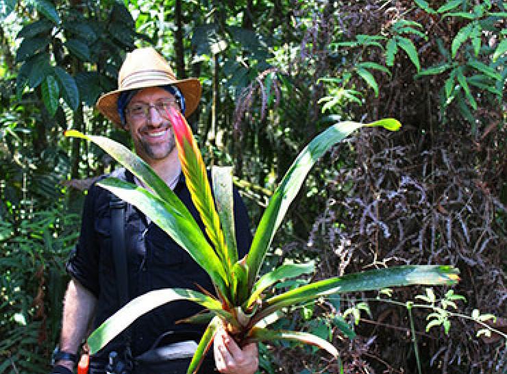 Paraguas man with large plant