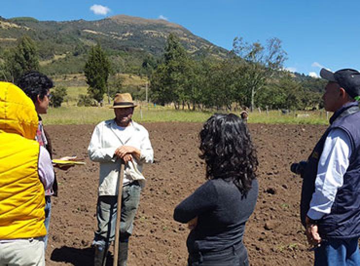 Talking to farmer