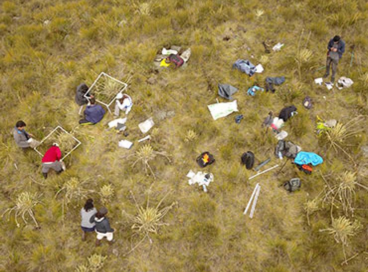 Students undertaking vegetation surveys in the high-altitude páramos