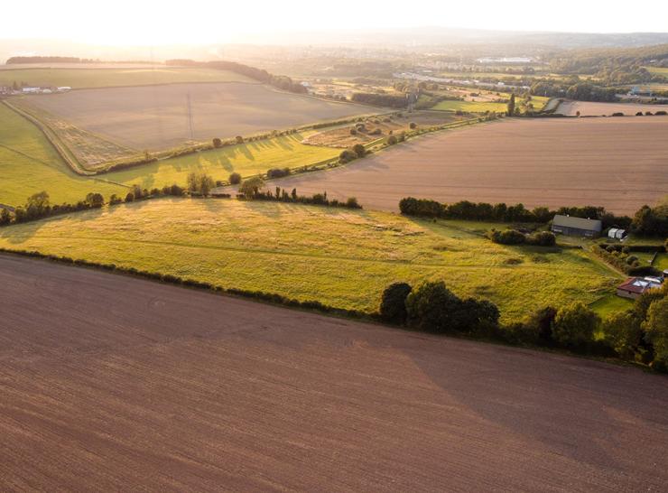 Farmland