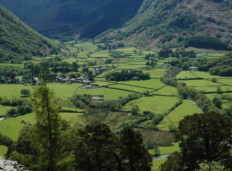 Borrowdale in the English Lake District, seen from Castle Crag. © Andrew Sier. Image available under licence to NERC – Centre for Ecology & Hydrology