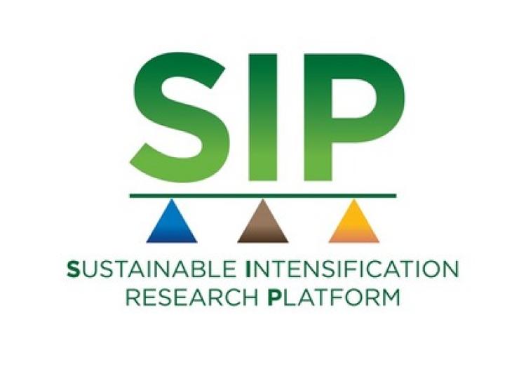 Sip logo 2