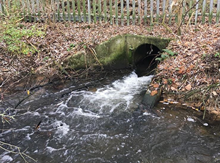 Effluent discharging into a stream