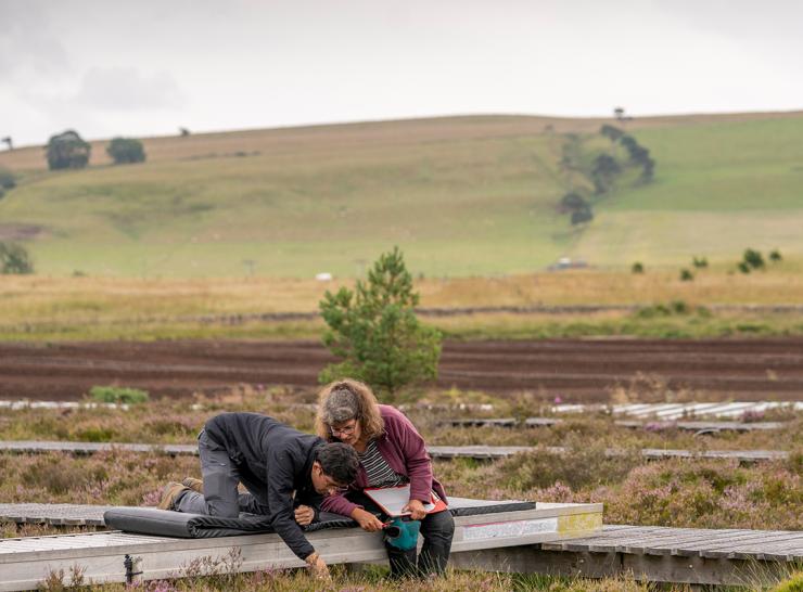 Two UKCEH scientists sitting on board walks at Whim Bog