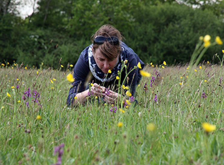 Person lying in a meadow looking at flowers