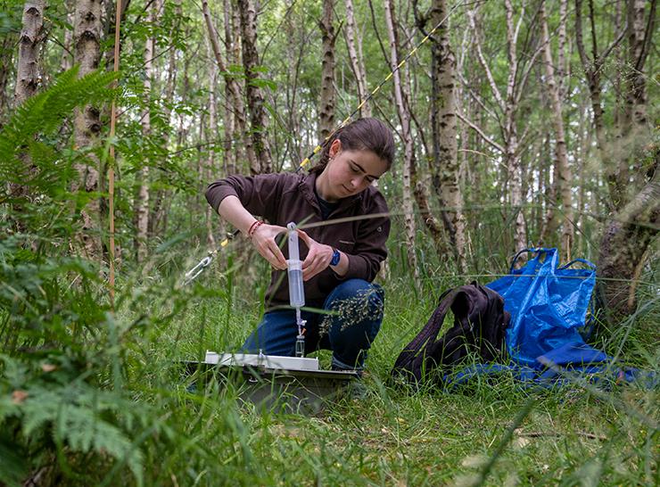 Galina Toteva working at the Glencorse Woodland Experiment Platform