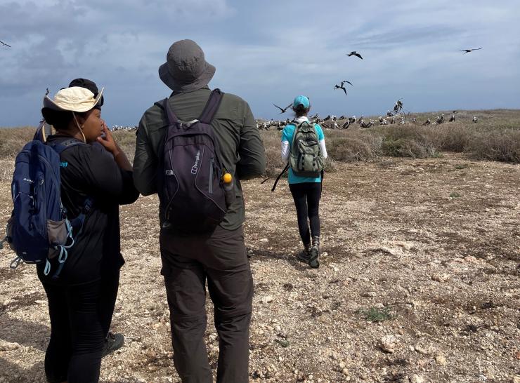 UKCEH and Anguilla National Trust staff observe birds on Dog Island, Anguilla