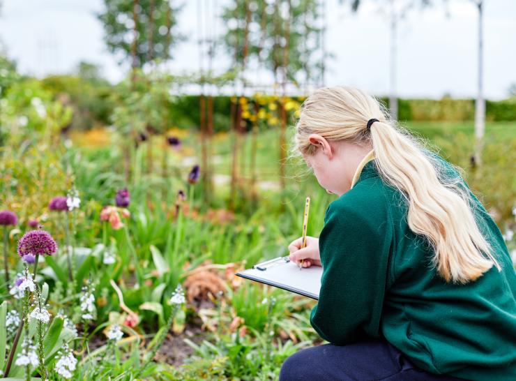 Nature activity day at RHS Garden Bridgewater