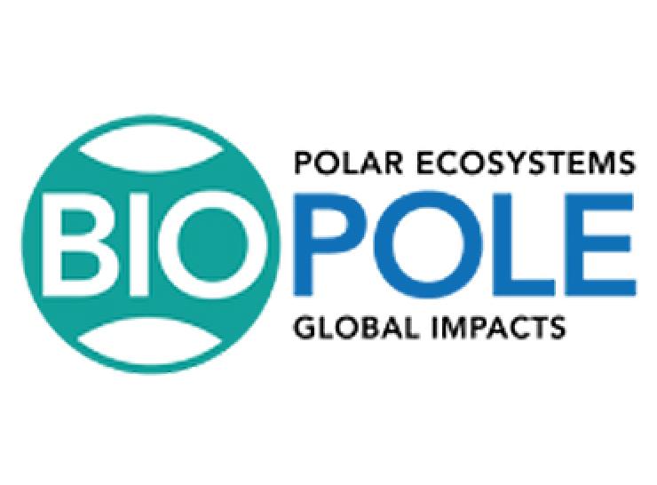 BIOPOLE logo with the words Polar Ecosystems Global Impacts