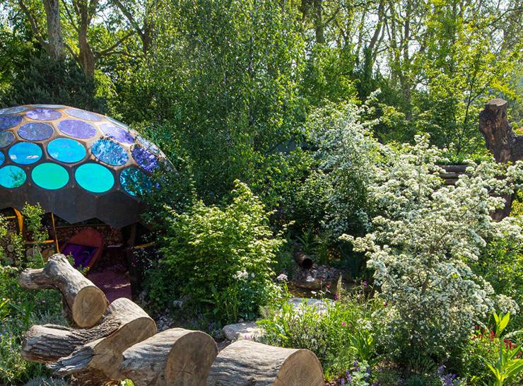 Plants and logs beside the outdoor laboratory at the Royal Entomological Society garden at the Chelsea Flower Show