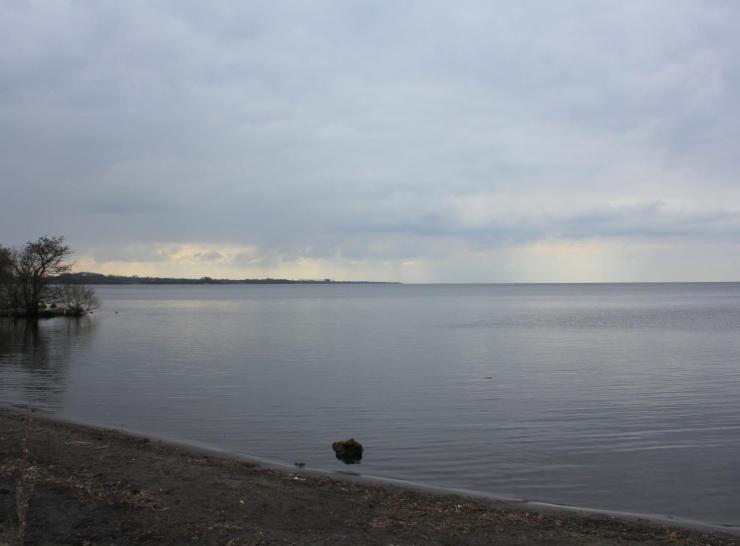 Lough Neagh. Photo: Paulette Burns