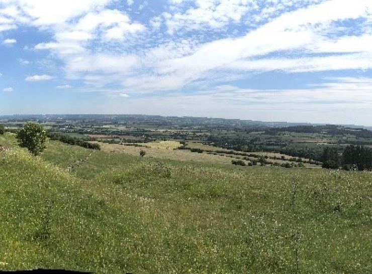 Agricultural landscape