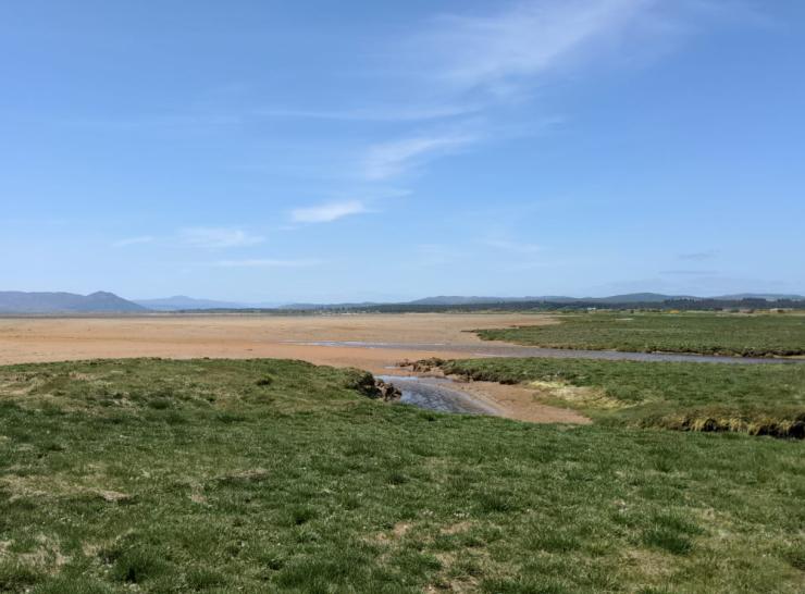 A view across the Dornoch Firth shows lush green arrow-grass dominant marsh in the foreground which descends to a sand flat expanse which seemingly  reaches miles across the estuary to the foot of the mountains.