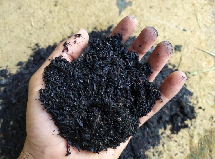 biochar