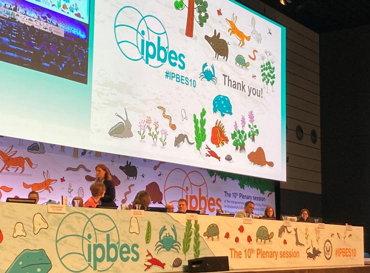 IPBES-10 plenary