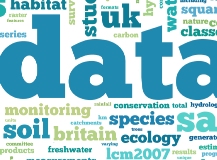 Word cloud showing words related to data