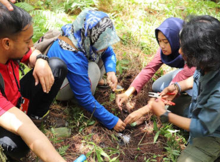 UB Forest activities