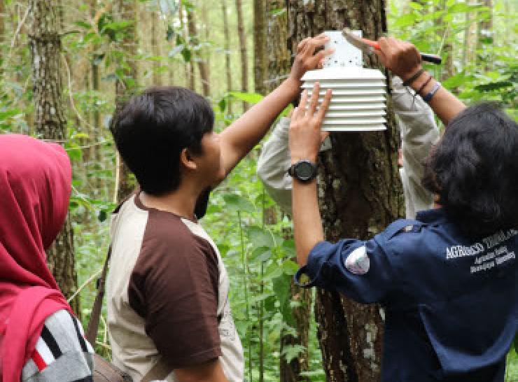 UB Forest installing sensor on tree