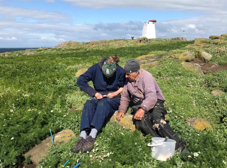 Mike Harris helps a student with ringing on the Isle of May