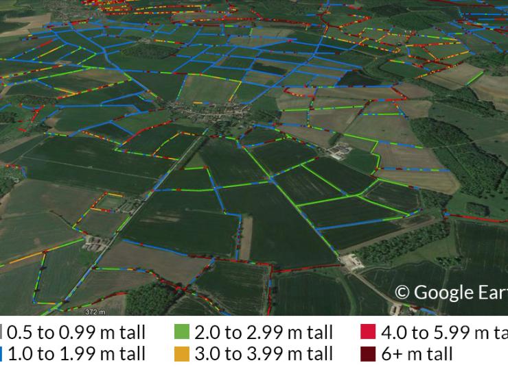 Hedgerow data image