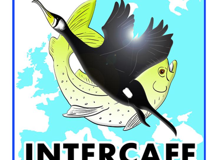 INTERCAFE logo showing a cormorant and a fish with a map as a background