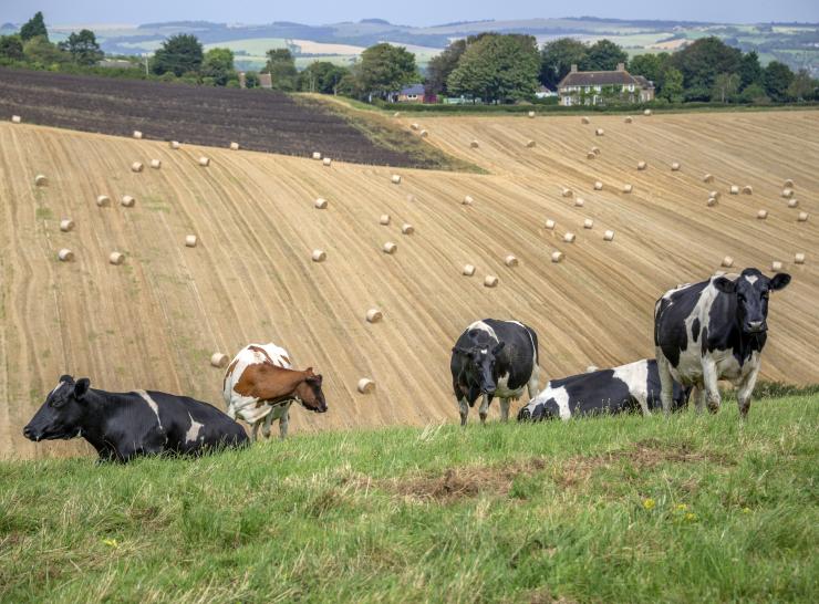 Farming landscape. Photo: Shutterstock