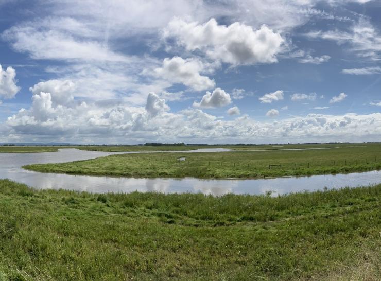 Saltmarsh in Ribble Estuary. Photo: Stefanie Carter