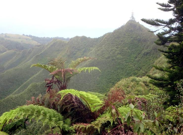 Diana's Peak, St Helena