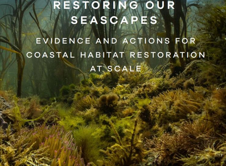Cover image of the report