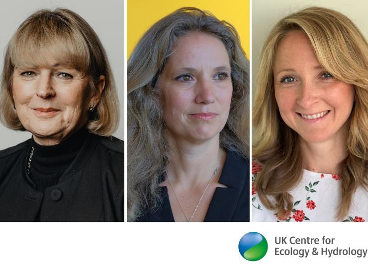 New UKCEH trustees