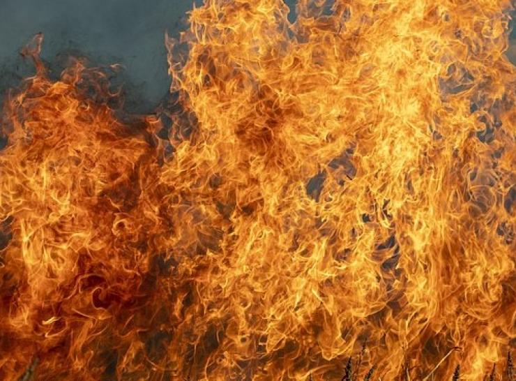 Wildfire