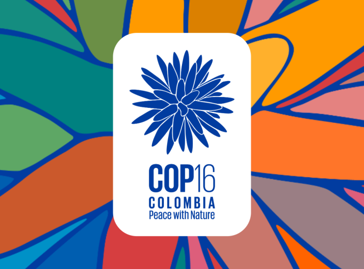 The COP16 logo against a multicoloured flower background