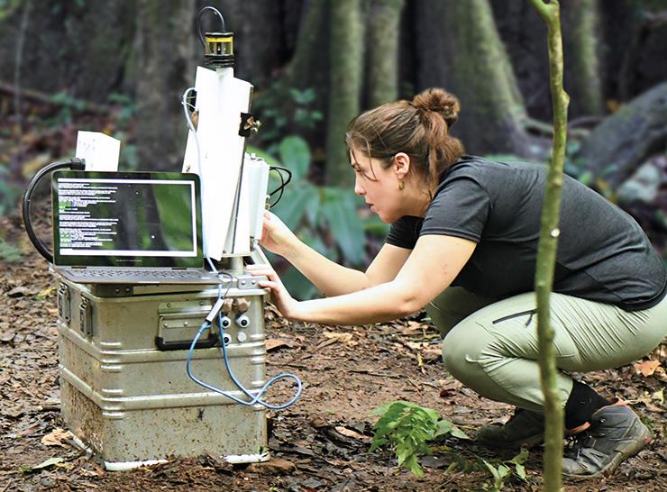 Alba Gomez Segura from UKCEH works on an AMI (automated monitoring of insects) system in a tropical forest