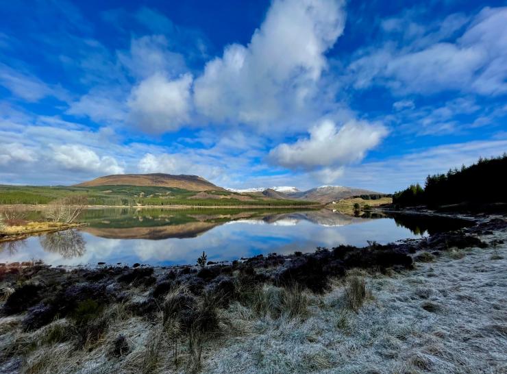 newLEAF Benmore